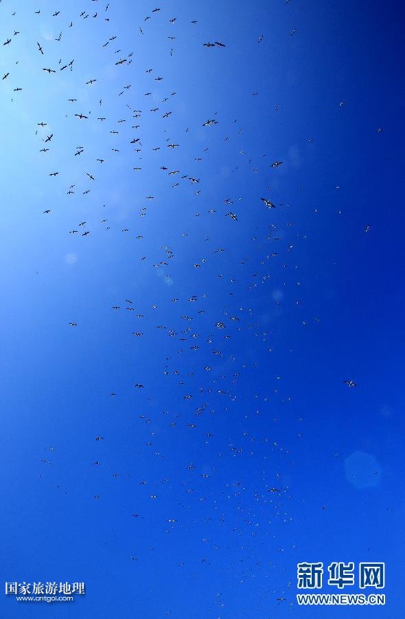 (國(guó)際·關(guān)注文化遺產(chǎn))(11)聖基爾達(dá)島:被遺棄的文明